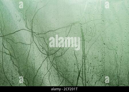 Art tone abstract pattern light green nature texture background Stock Photo