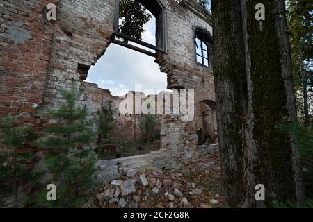 destroyed brick wall of an old building, arched Windows, view from the outside, in the forest Stock Photo