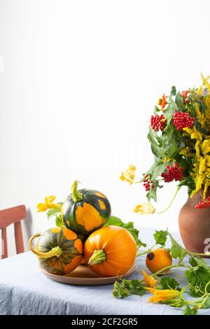 Beautiful bouquet of ragweeds, zinnia and branches of viburnum in a clay pot, fresh harvest of pumpkins on a table against a white wall Stock Photo