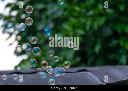Closeup of soap bubbles with trees on the blurry background at daylight Stock Photo