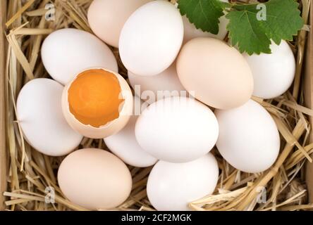 White and brown chicken eggs with a broken egg in the center. Stock Photo