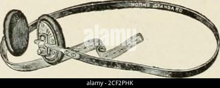 . Abdominal hernia : its diagnosis and treatment. II. French truss, leaili.r anU haid rubbi^i.. 12. Extension neck hard-rubber cross-body truss. MECHANICAL TREATMENT : FEMORAL. 321 Group of Trusses for Femoral Hernia {Contifiued). Stock Photo