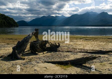 Lake Manapouri from Shallow Bay, Kepler Track, South Island, New Zealand Stock Photo