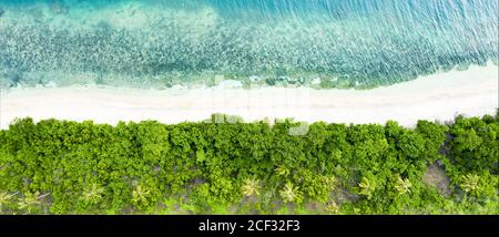 View from above, stunning aerial view of a green coast with coconut palm trees and a beautiful white sand beach bathed by a turquoise . Stock Photo