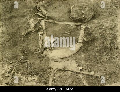 Ur Excavations Pg 1237 A The Ruined Copper Figures Of Two Stags U I2356v P 123 B The Head Dress 1t Of Body No 61 In Positionv Pi 144 Plate 75 Z 3i Gt Tfc Gt W