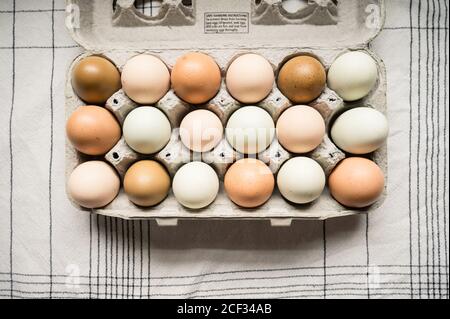 Multi-Colored Farm Eggs in Carton on Table at Home Stock Photo