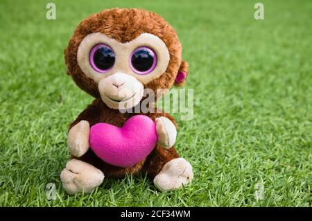 TY Beanie Boo Boos Casanova The Valentine Monkey with pink heart. Soft toy monkey holding a pink heart, isolated on grass with copy space Stock Photo