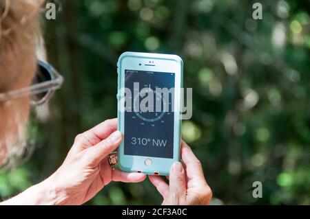 Close-up of a hiker using a mobile phone compass in a forest on a sunny day. Compass bearings. Active lifestyle. Modern life.  Technology dependent. Stock Photo