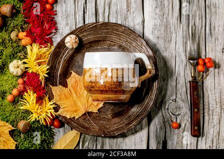 Autumn tablesetting with moss and leaves Stock Photo