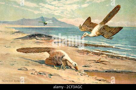 Vintage Heinrich Harder extinct animal or dinosaur illustrated artwork Stock Photo