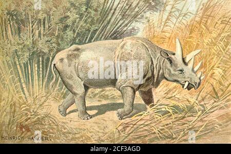 Vintage Heinrich Harder extinct animal or dinosaur illustrated artwork Stock Photo