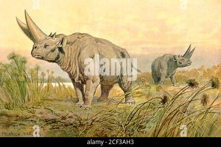 Vintage Heinrich Harder extinct animal or dinosaur illustrated artwork Stock Photo