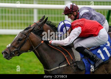 Star In The Making ridden by jockey Hector Crouch (right) wins The European Bloodstock News EBF 'Lochsong' Fillies' Handicap at Salisbury Racecourse, Wiltshire. Stock Photo