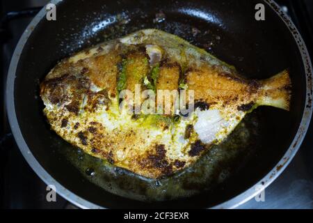 A Pomfret, coated in a green paste made from crushed corriander leaves, herbs and spices is being shallow fried in a pan. Stock Photo