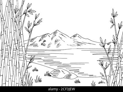 Bamboo lake graphic black white landscape sketch illustration vector Stock Vector