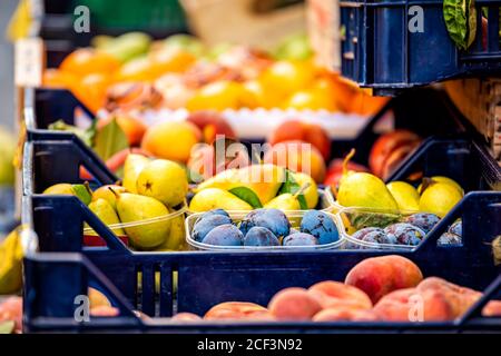 Orvieto, Italy small grocery fresh produce street store shop in Umbria with local fruit in boxes crates closeup and pears plums background Stock Photo