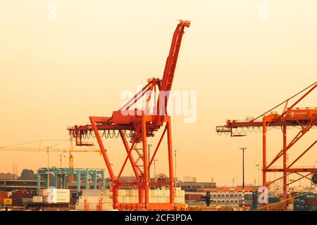 Seattle, Washington State, United States - Tower cranes at the port of Seattle at the Industrial District. Stock Photo