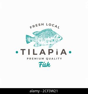 Fresh Local Tilapia. Abstract Vector Sign, Symbol or Logo Template. Hand Drawn Fish Sketch Silhouette with Modern Typography. Vintage Vector Emblem. Stock Vector