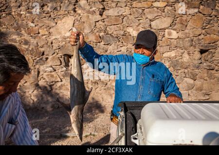 Real De Catorce, San Luis PotosÃ, Mexico. 16th June, 2020. A fish seller on the street wearing a face mask as a precaution.Even though the number of visitors is not comparable with those before the Covid-19 pandemic, Real de Catorce in San Luis PotosÃ- State has slowly began to restart the economy, especially where tourism is the main source of income. Credit: Antonio Cascio/SOPA Images/ZUMA Wire/Alamy Live News Stock Photo