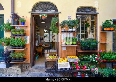 A small grocery shop with flowering plants, herbs and fruit displayed on the sidewalk in the old fishing village, Porto Venere, La Spezia, Italy Stock Photo