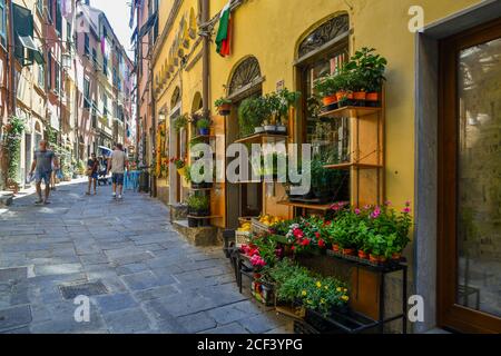 A small grocery shop with herbs and flowering plants displayed on a narrow alley in the old fishing village, Porto Venere, La Spezia, Liguria, Italy Stock Photo