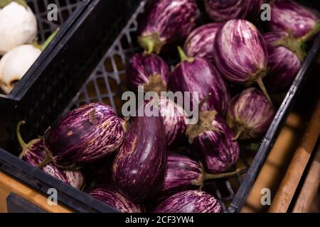 Fresh eggplants in plastic boxes Stock Photo