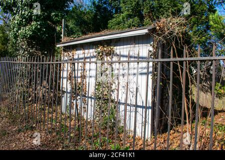 An Old Abandoned White Shed in a Suburban Back Yard Stock Photo