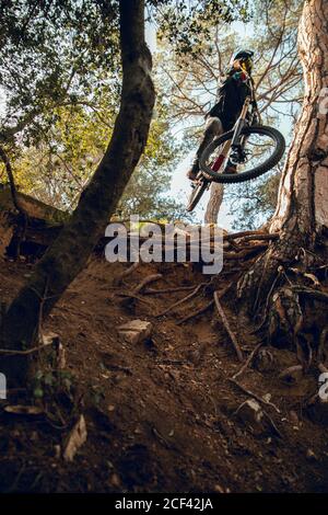 From below unrecognizable man in helmet, gloves and protection glasses jumping downhill during mountain biking practice in wood forest Stock Photo