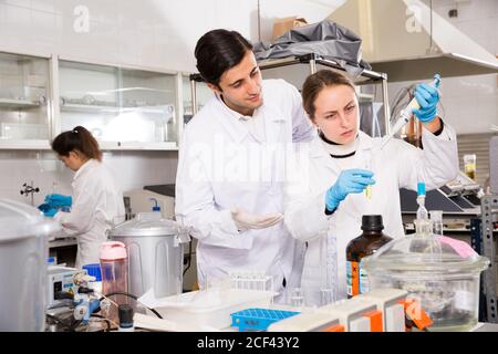Two students performing experiments in university laboratory, using mechanical lab pipette for mixing chemicals Stock Photo