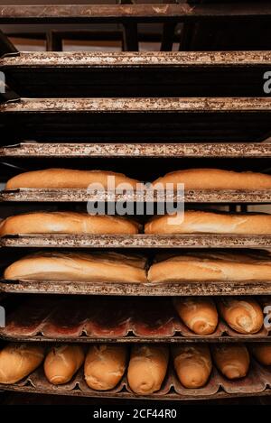 Loafs of yummy fresh bread and buns placed on metal trays on rack in bakery Stock Photo