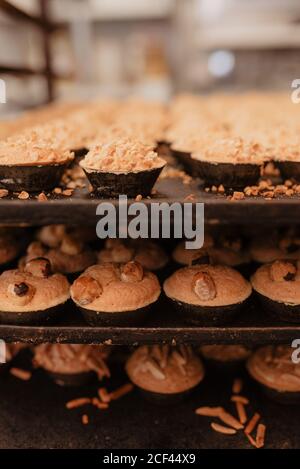 Loafs of yummy fresh bread and buns placed on metal trays on rack in bakery Stock Photo