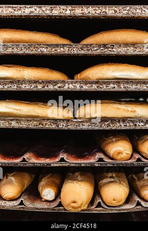 Loafs of yummy fresh bread and buns placed on metal trays on rack in bakery Stock Photo