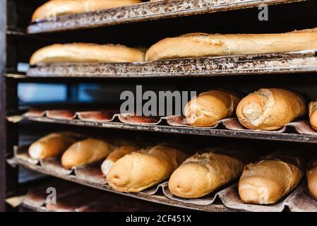 Loafs of yummy fresh bread and buns placed on metal trays on rack in bakery Stock Photo