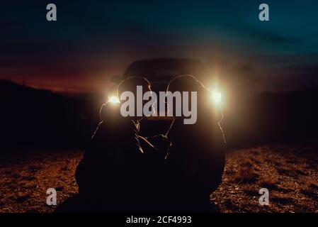 Side view of homosexual couple embracing and sitting on land near automobile with illuminated headlights on meadow in evening Stock Photo
