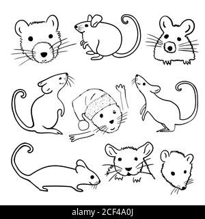 The Year of the Mouse or Rat. Vector set outline hand drawn brush illustration with different animal characters in various poses. Black on white backg Stock Vector