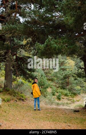 A person in yellow raincoat walking in a wet forest Stock Photo - Alamy