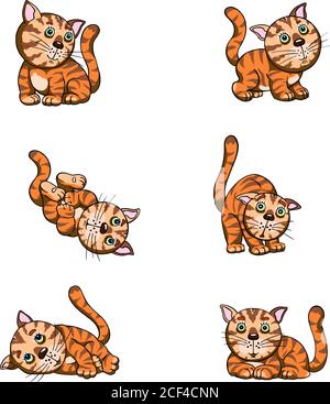 Cats, amusing kitten, funny images of a kitten in various poses,striped, funny, absurd, illustration, drawing, picture, vector, merry, cheerful, pet Stock Vector