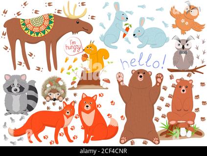 Set of funny cute woodland animals isolated on white background. Stock Vector