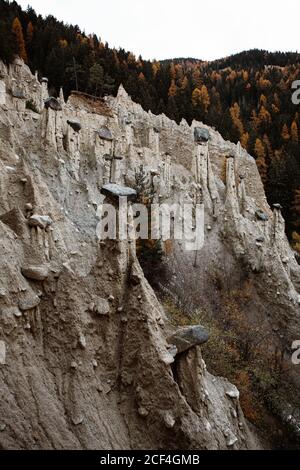 Pine forest with powerful big cliff and overcast sky on background at Dolomites mountains covered in snow in Italy Stock Photo