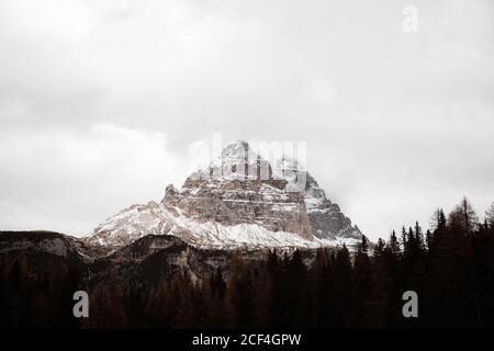 Pine forest with powerful big cliff and overcast sky on background at Dolomites mountains at Italy Stock Photo