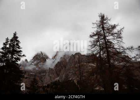 Pine forest with powerful big cliff and overcast sky on background at Dolomites mountains at Italy Stock Photo