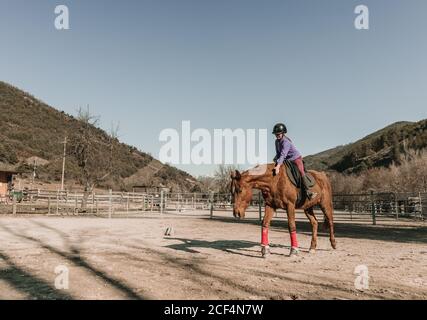 Young female in helmet riding wonderful horse in enclosure against cloudless blue sky during lesson on ranch Stock Photo