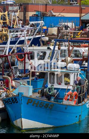 inshore trawlers and fishing boats moored alongside in portsmouth harbour. Stock Photo