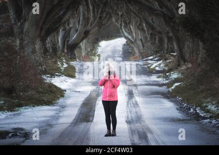 Female photographer in activewear with face covered by camera taking picture of Dark Hedges while standing on snowy road under mysterious beech trees with interlacing branches Stock Photo