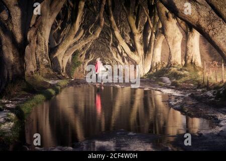 Side view of Woman in activewear standing on snowy road near puddle under mysterious beech trees with interlacing branches in Dark Hedges, Northern Ireland Stock Photo