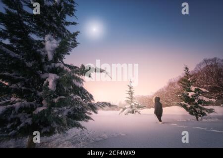 Back view of female silhouette going on snow terrain around green firs under picturesque sky Stock Photo
