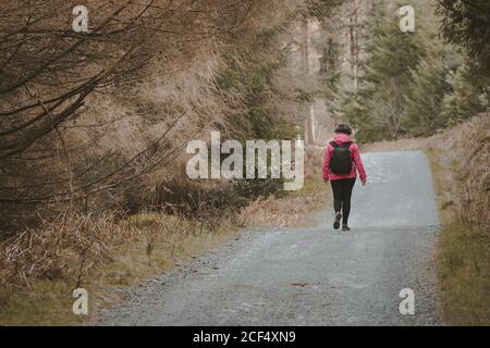 Back view of anonymous Woman traveler in warm jacket walking on forest while visiting Tollymore Forest Park in Northern Ireland in spring day