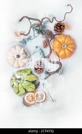 Top view of white and orange pumpkins, almonds and autumn leaves on ...