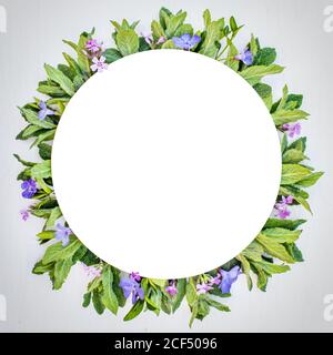 Round frame with Fresh Mentha suaveolens, Pink and purple flowers on wooden white background. Leaf pattern. Flat lay, top view, copy space. Stock Photo