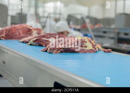 Fresh juicy nutrition chopped on slices meat ready on steel conveyor with blue surface in slaughterhouse Stock Photo